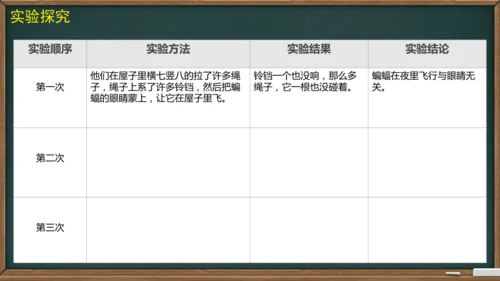 6 夜间飞行的秘密（课件）