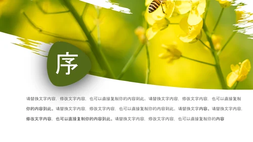 春天乡村旅游油菜花风景油菜花田PPT模板