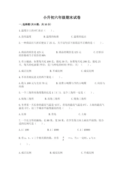 小升初六年级期末试卷（实用）word版.docx
