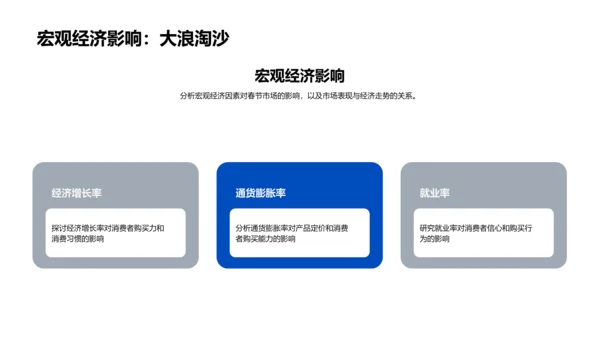 春节医保销售分析报告PPT模板