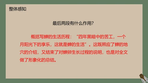八年级下册蝉课件PPT模板