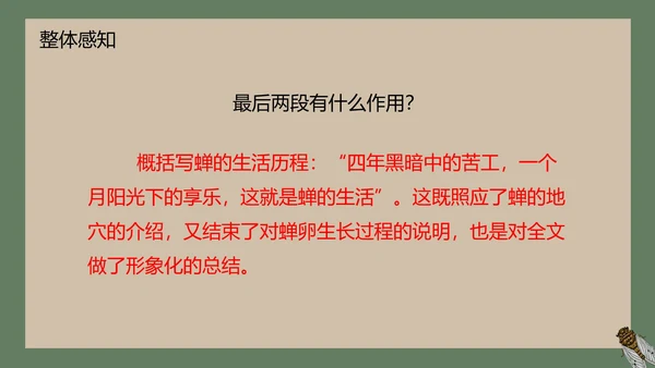 八年级下册蝉课件PPT模板