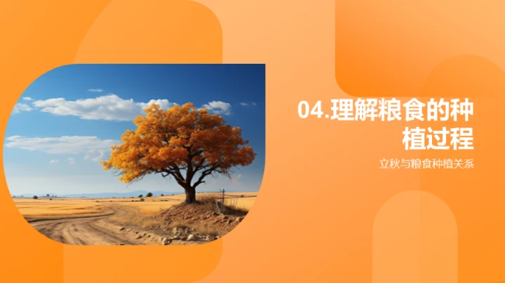 立秋季节与粮食种植