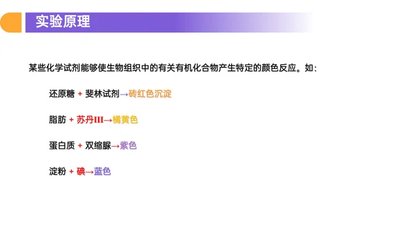 人教版高中生物细胞元素化合物PPT课件