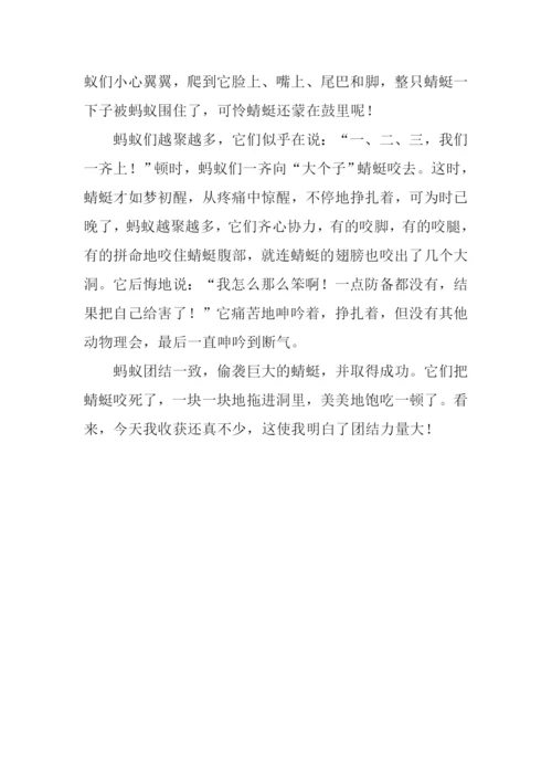 观察昆虫的小练笔.docx