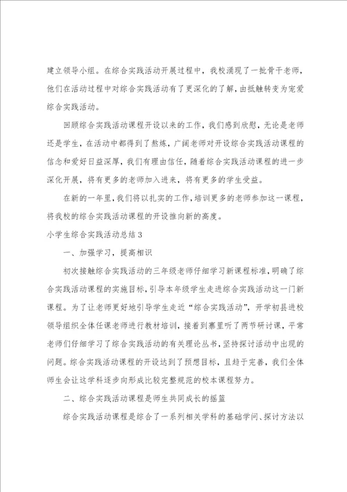 小学生综合实践活动总结