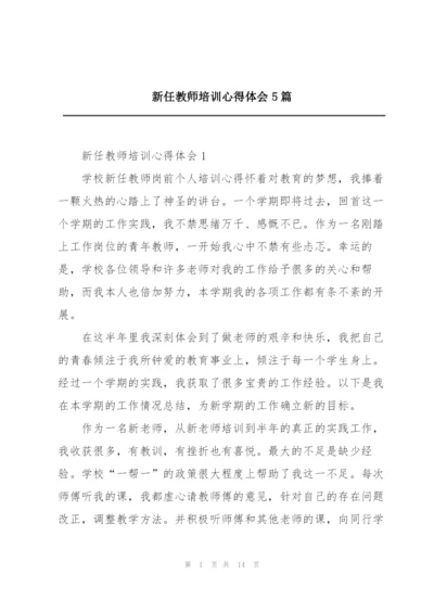 新任教师培训心得体会5篇.docx