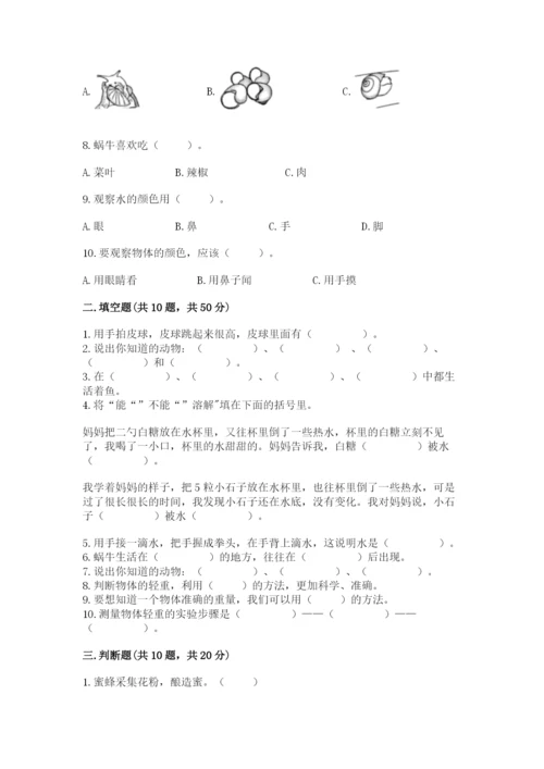 教科版一年级下册科学期末测试卷及参考答案【综合卷】.docx