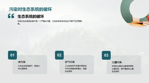 生态守护：我们的责任