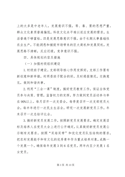 村第一书记任职规划计划.docx