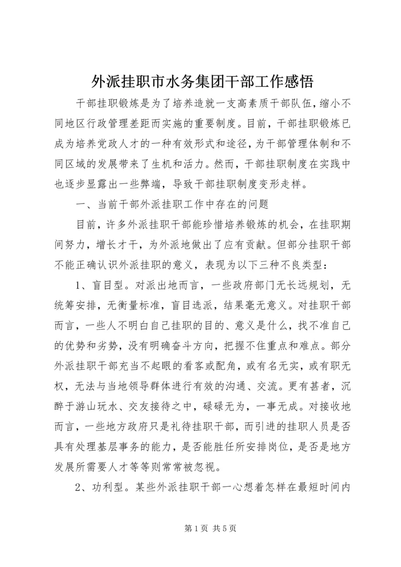 外派挂职市水务集团干部工作感悟 (5).docx