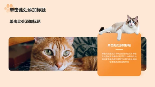 橙色卡通风可爱猫咪介绍PPT模板