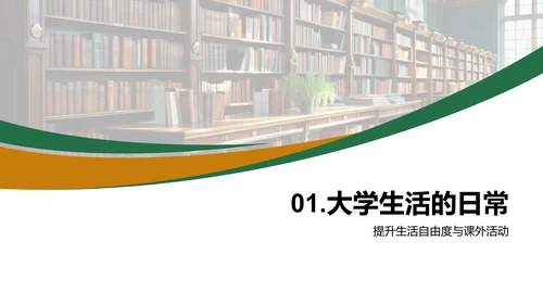 探索大学之路