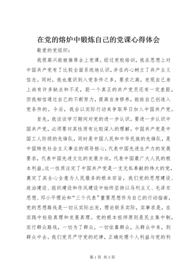 在党的熔炉中锻炼自己的党课心得体会.docx