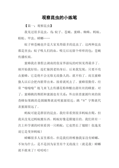 观察昆虫的小练笔.docx