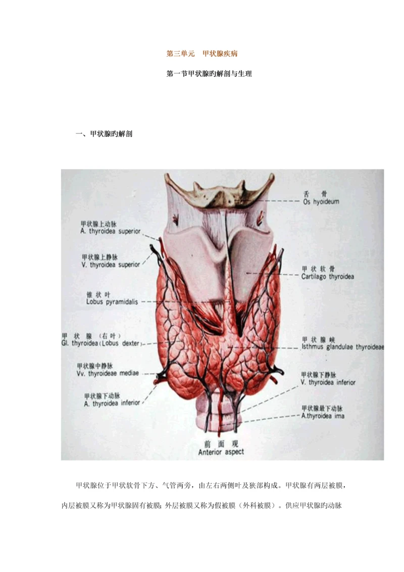 2023年执业医师最新最全考点解析系列内分泌部分甲状腺疾病.docx