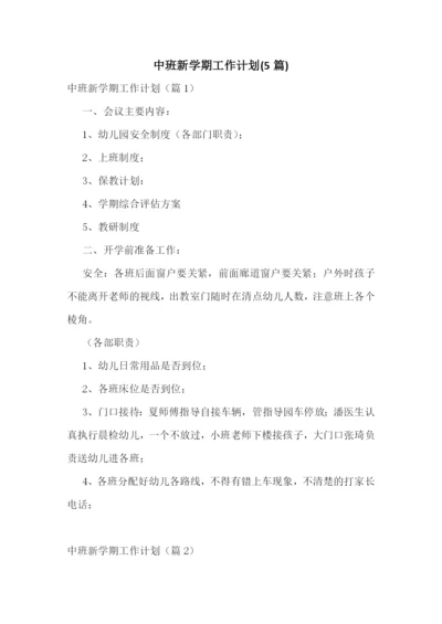 中班新学期工作计划(5篇).docx