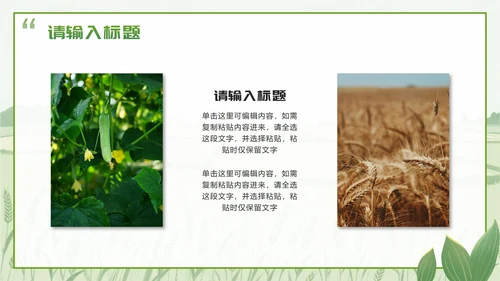 绿色简约实景我的家乡乡村旅游相册介绍PPT模板