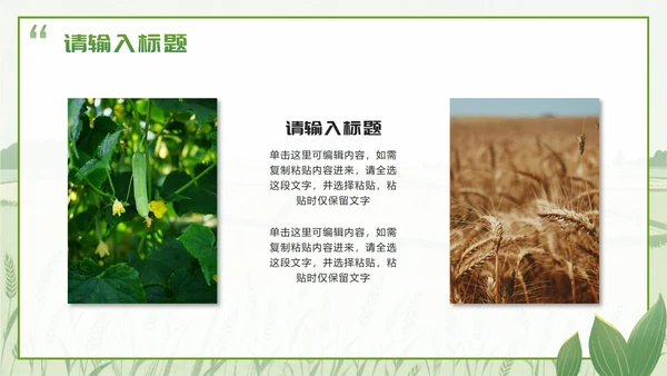 绿色简约实景我的家乡乡村旅游相册介绍PPT模板