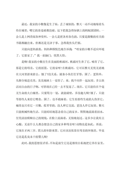 初一语文作文500字满分作文