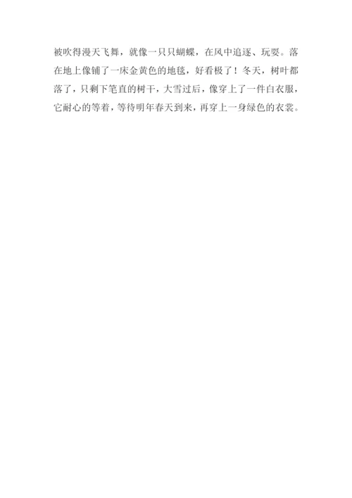 我熟悉的一棵树作文200字.docx