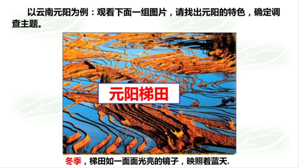 综合探究五：如何开展社会调查——以调查家乡为例 课件