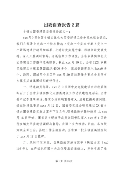 团委自查报告2篇.docx