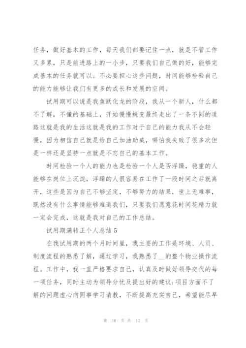 试用期满转正个人总结5篇.docx