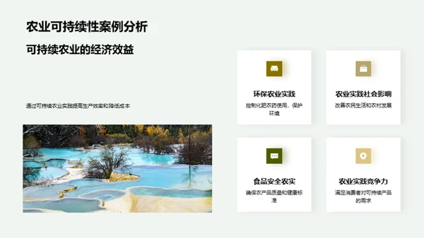 绿色致富，可持续农业