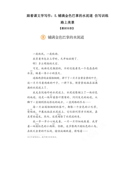 【跟着课文学写作】5.铺满金色巴掌的水泥道 讲义