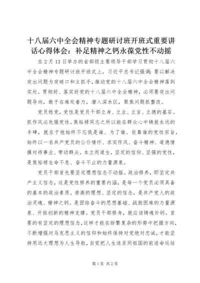 十八届六中全会精神专题研讨班开班式重要讲话心得体会：补足精神之钙永葆党性不动摇.docx