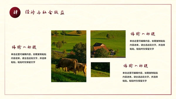 建设美丽乡村旅游商业计划书PPT模板
