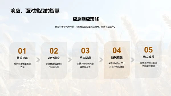 小暑节气与农业指南