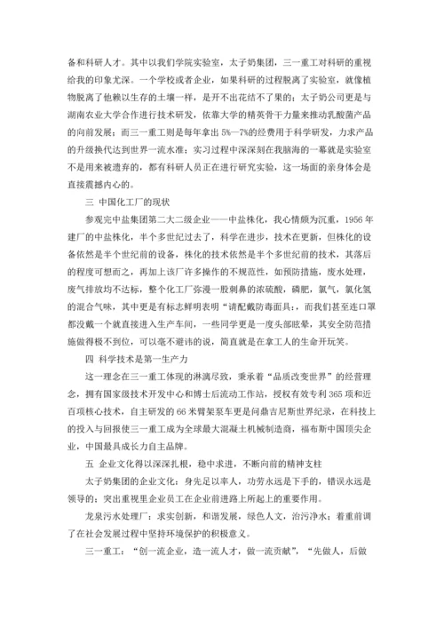 化学实习报告范文集锦十篇.docx