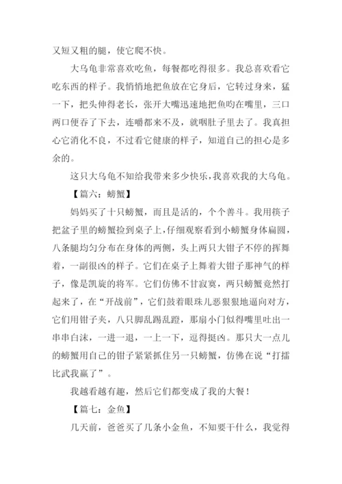 四年级动物作文大全300字.docx