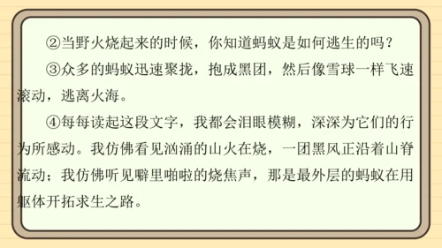 统编版语文五年级上册主题四　生活感悟 阅读与写作指导课件