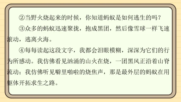 统编版语文五年级上册主题四　生活感悟 阅读与写作指导课件