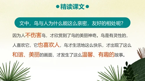 部编版三年级上册《搭船的鸟》