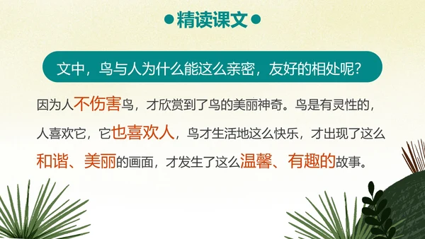 部编版三年级上册《搭船的鸟》