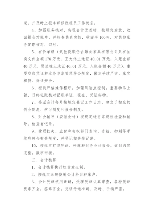 代理记账自查自纠情况报告.docx