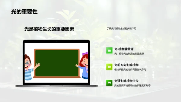 探秘植物生长
