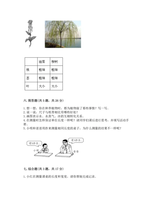 教科版小学一年级上册科学期末测试卷（网校专用）.docx