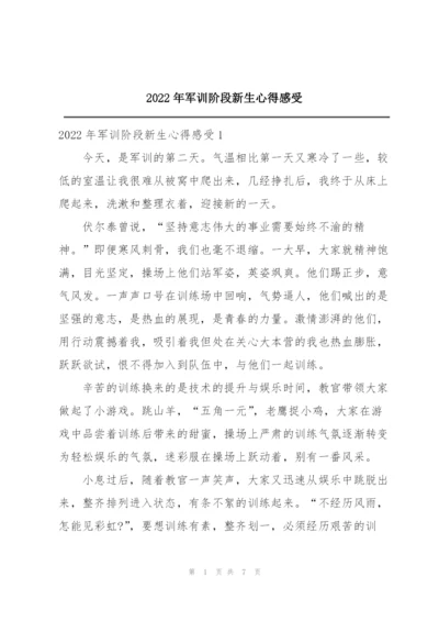 2022年军训阶段新生心得感受.docx