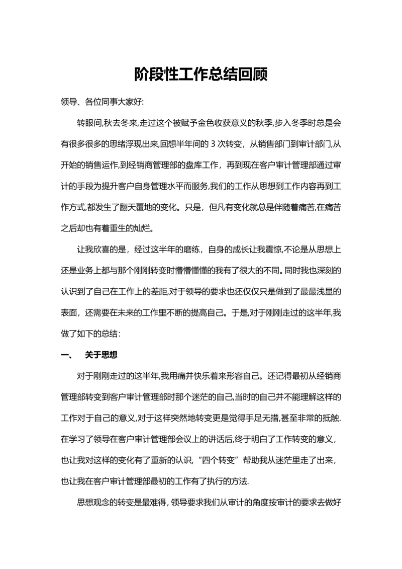 半年度阶段性工作总结.docx