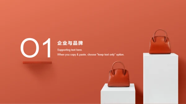 粉色时尚品牌服饰运营计划市场推广计划PPT模板