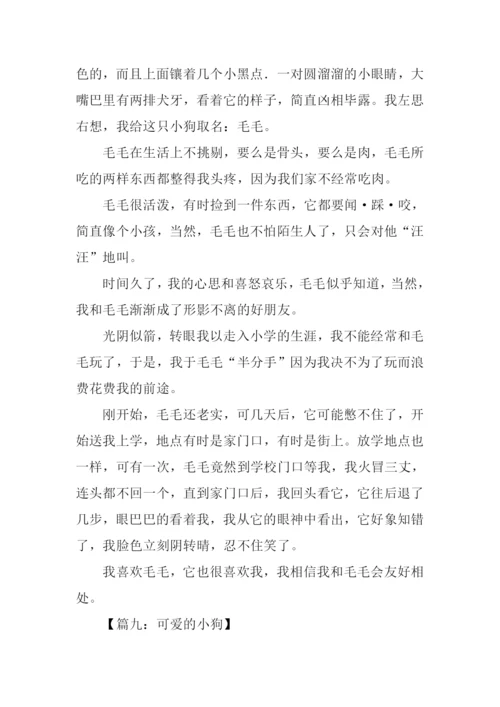 关于小狗的作文500字.docx