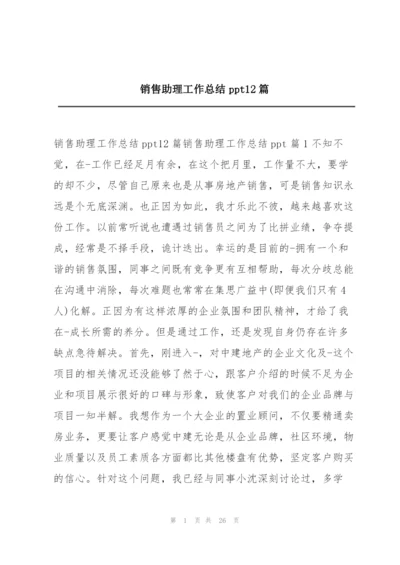 销售助理工作总结ppt12篇.docx