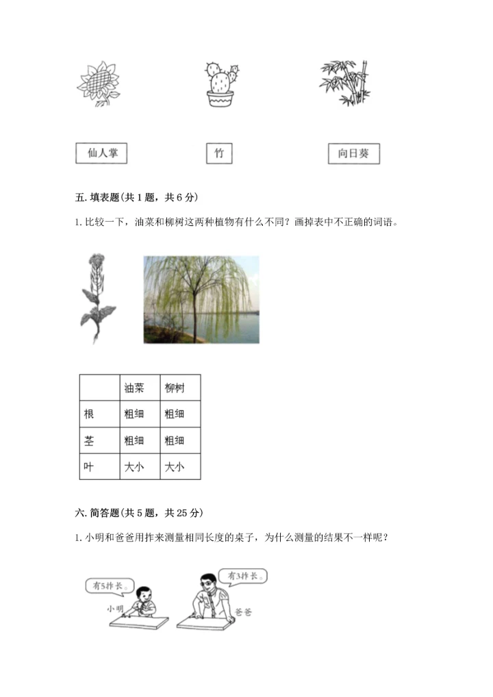 教科版一年级上册科学期末测试卷含答案【培优b卷】.docx