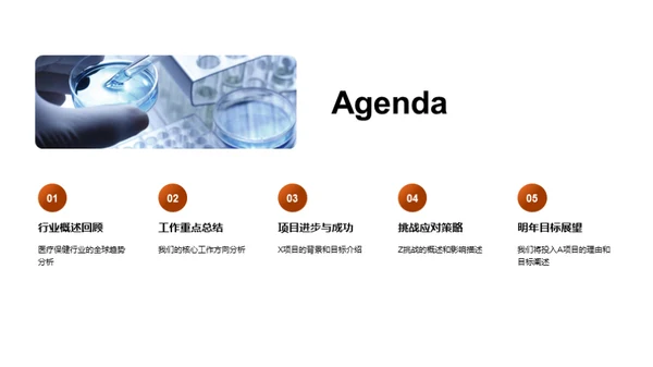医疗保健行业回顾与展望