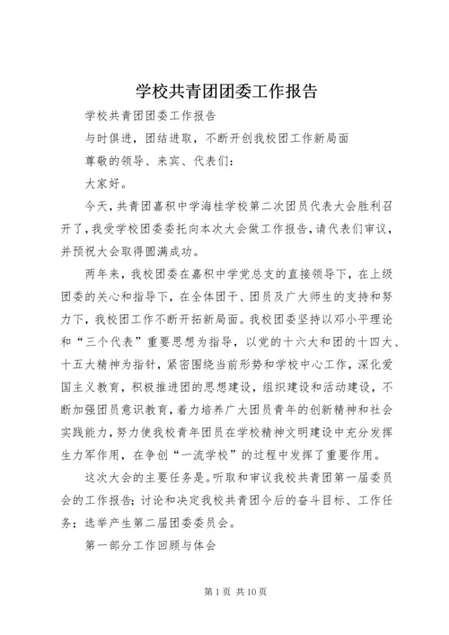 学校共青团团委工作报告 (7).docx